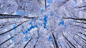 Mac Winter Wallpapers Wallpaper Cave
