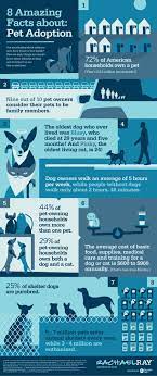 At the petco store in clear lake (2410 bay area boulevard,. 8 Amazing Facts About Pet Adoption Rachael Ray Pet Adoption Fun Facts Dog Facts
