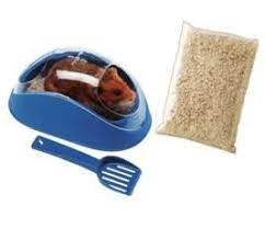 Banheiro Para Hamster Sim Existe 4 Patas Sei Que Muita Gente Tem Hamsters Como Animal De Estimacao Mas Nao Imaginava Que Hamster Hamsters Saco De Graos