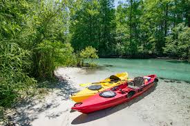 The florida state park is 51 hectares and was opened in 1983. These 12 State Parks Will Make You Fall In Love With Florida