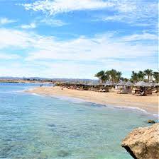 Find new and preloved brandy melville items at up to 70% off retail prices. Siva Port Ghalib Red Sea Hotel Hotel Tipps Am Roten Meer Sandstrand Strand Sand Rotes Meer Turkisblaues Meer Urlaub Am S Urlaub Strand Agypten Marsa Alam