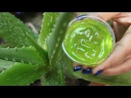 How To Make Aloe Vera Gel At Home Naturally Youtube Homemade Wrinkle Cream Aloe Vera Aloe Vera Gel