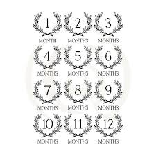 Free Free 323 Baby Monthly Milestone Svg SVG PNG EPS DXF File