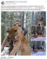 Colorado man kills mountain lion with bare hands. Grinning Canadian Tv Presenter Bags A Huge Mountain Lion Daily Mail Online