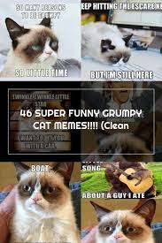 For that reason, we're sure you'll enjoy these 55 funny. 46 Super Funny Grumpy Cat Memes Clean Memes Store Funny Grumpy Cat Memes Grumpy Cat Humor Cat Memes