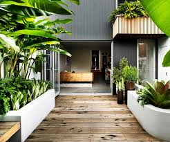 A Small Tropical Garden With Low Maintenance Plants Small Tropical Gardens Tropical Garden Design Tropical Landscaping