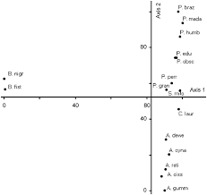 Image result for Schlechterina mitostemmatoides