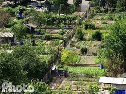 Photos Jardins Familiaux Photo Alsace Com Agriculture Urbaine Jardins Suspendus Jardins