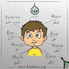 Arabic Learning Arabic Language Centers Learn Arabic Language