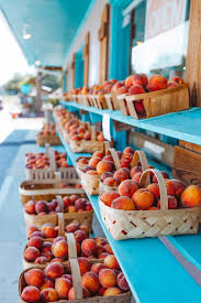 Recreation services aide / walltown park recreation center. The Peach Tree Orchard