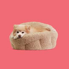 Pet heating heating better promote pet's blood circulation, increase pet appetite. 13 Best Heated Dog Beds To Keep Your Pup Super Cozy
