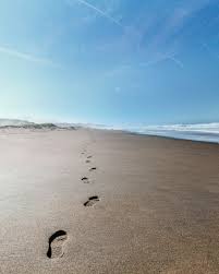 Beach sunset is my favorite. Footprints In The Sand Pictures Download Free Images On Unsplash