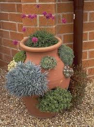 Strawberry Jar Planted With Succulents Amphore Garten Pflanzen Kubelpflanzen