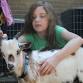 Animal Encounters: Little Starr Farm Petting Zoo