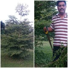 .yang boleh di keluarkan zakatnya misalnya untuk ukuran binatang, emas perak, profesi atau gajih, bahan pokok, hasil pertanian dan masih banyak lagi yang 2. Kembara Minda 7 Kenapa Dipotong Bucida Ini