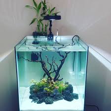 We believe in helping you find the product that is right for you. New Island Tank Setup Video Is Live Can You Guess Whats Goin In It Islandaquarium Islandtank Islandaquascape Plant Betta Fish Tank Fish Tank Aquarium