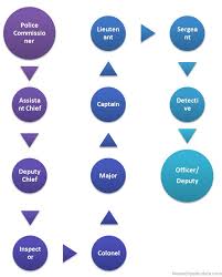 American Police Hierarchy Police In Hierarchy Structure