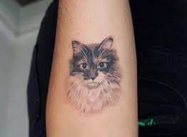 Black and white peony flower tattoos design. 27 Best Black And White Cat Tattoo Designs The Paws