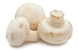 Image result for mushroom pictures