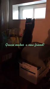 Tammy Gately (@tlgnh)