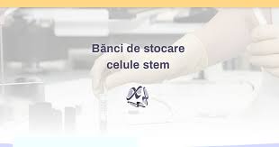 Autotransplanturile cu celule stem recoltate la nastere sunt rezolvari certe sau deocamdata sunt doar experimentale? BÄnci De Stocare Celule Stem Celulestem Eu