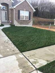 March 26 2017 Missouri Turf Type Tall Fescue Lesco Milorganite Treatments Lawn Care Business Lawn Care Tall Fescue