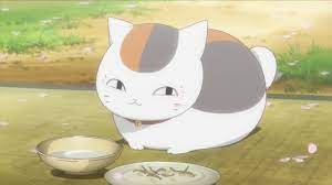 natsumes book of friends - Why is Nyanko-sensei a round, chubby cat? -  Anime & Manga Stack Exchange