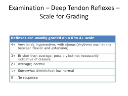 Central And Peripheral Nervous System Key Definitions