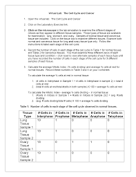 Answers, mitosis meiosis worksheet answer key and virtual cell worksheet answer key. Virtual Lab The Cell Cycle And Cancer Worksheet Key Docsity
