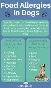 Purchase My Dog Has Food Allergies Up To 66 Off