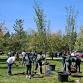 Tree Planting at Woodbine Avenue event image