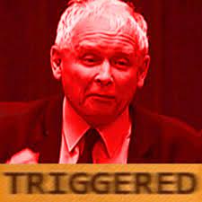 Our story begins with two twin brothers: Triggered Jaroslaw Kaczynski Trigger Meme Faces Triggered Meme Reaction Pictures