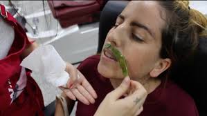 Llega la programación del South International Series Festival 2025