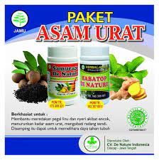 Pin Oleh Liasabilla Di Obat Mengatasi Penyakit Asam Urat Obat Alami Asam Urat Herbal