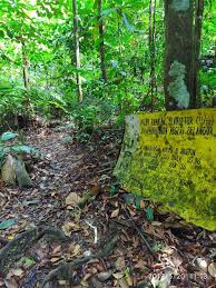 The park is usually not very crowded and often very quiet. Wikiloc Taman Eko Rimba Kanching Trail