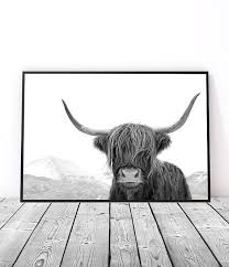Black And White Animal Prints Australia Large Highland Cow Print Black And White Cow Art Farm Animal Photography Prints Large Wall Art Boho Decor Modern Farmhouse Decor Scandinavian Artwork Highland Cow Print Highland Cow Art