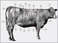 a guide to cuts of beef