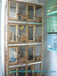 Masukkan lovebird ke kandang kotak atau kandang umbaran tanpa sarang dan glodog. 70 Gambar Desain Kandang Lovebird Dari Kayu Terbaik