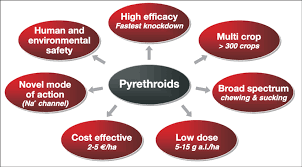 Here at home+garden, we share great ideas and innovative tools/products to make our life your home will always be the place for which you feel the deepest affection, no matter where you are. Advantages Of Pyrethroids Uses In Agriculture Home Garden Malaria Download Scientific Diagram