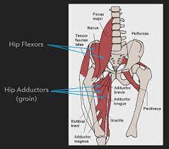 Hip osteoarthritis causes pain (usually felt in the groin) and stiffness. How We Fixed A Chronic Groin Strain Get Back To Sport