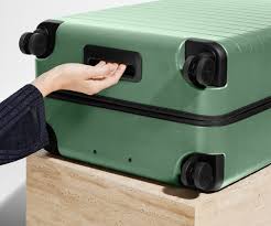 Away Large Checked Luggage Sea Green