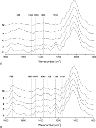Check spelling or type a new query. Weathering Characteristics Of Wood Treated With Water Glass Siloxane Or Dmdheu Springerlink
