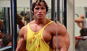 Apr 02, 2018 · who is arnold schwarzenegger? Pump Tv Series Based On Arnold Schwarzenegger S Bodybuilding Days In The Works Den Of Geek
