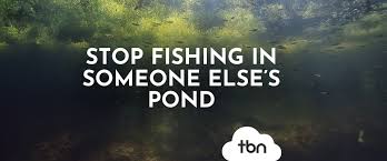 Image result for tbn:oyrN3pD6aQuWBM