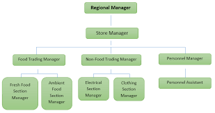 tesco organizational structure research methodology