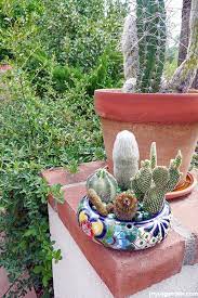 Here's how to make a cactus dish garden and the secret planting weapon i use. Two Small Cactus Garden Makeovers Joy Us Garden