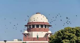 Users can find cause lists, daily orders and judgements etc. Supreme Court Of India Holds Sexual Harassment At Workplace Is An Affront To Women S Fundamental Rights Soolegal