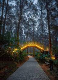 The Largest Orchid Forest In Indonesia Places To Travel Surfing Pictures Places To Go