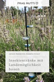 Insektentranke Mit Landemoglichkeit Bauen Frag Mutti In 2020 Insekten Hummeln Tipps Und Tricks