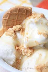 Where this ice cream came from. Peanut Butter Cookie Ice Cream Sundae Mostly Homemade Mom